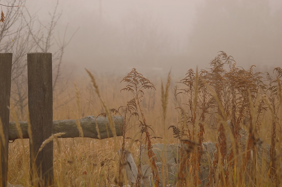 霧霾的古代史 霧霾的古代史