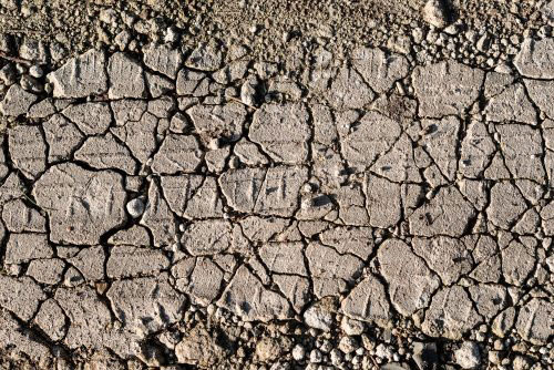 不使用測土儀？如何辨別土壤肥瘦？